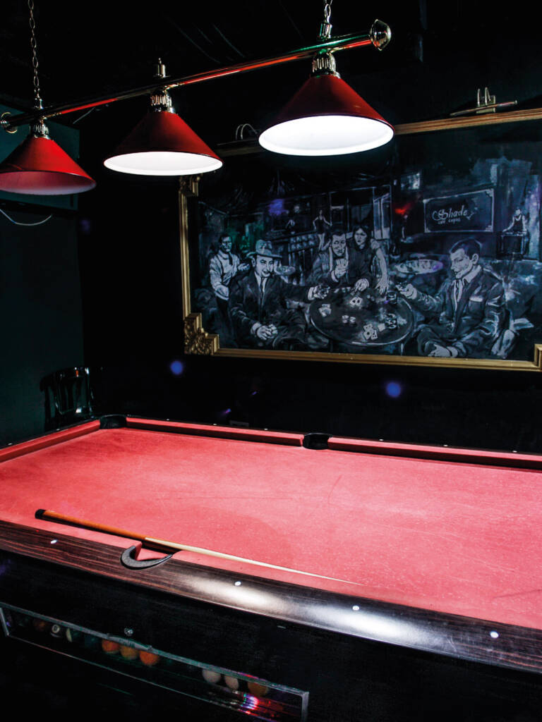 SHADE WEB_Mesa de trabajo 1 copia 9